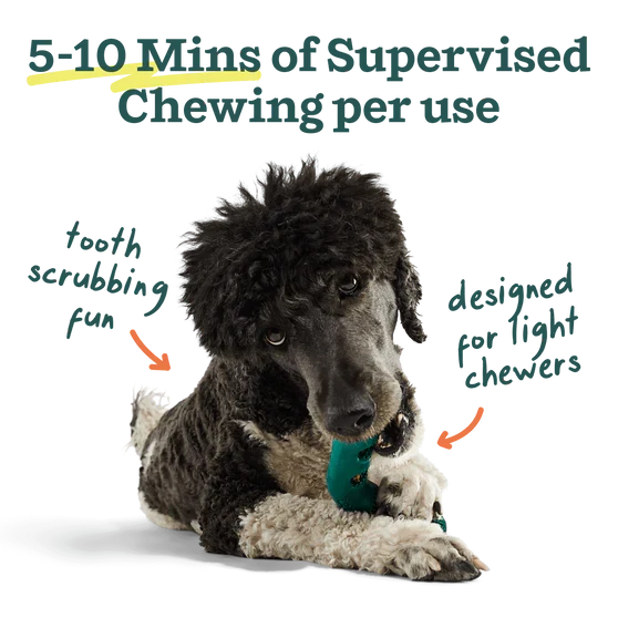 Woof Bite n' Brush Chicken Dental Chew Toy Refills