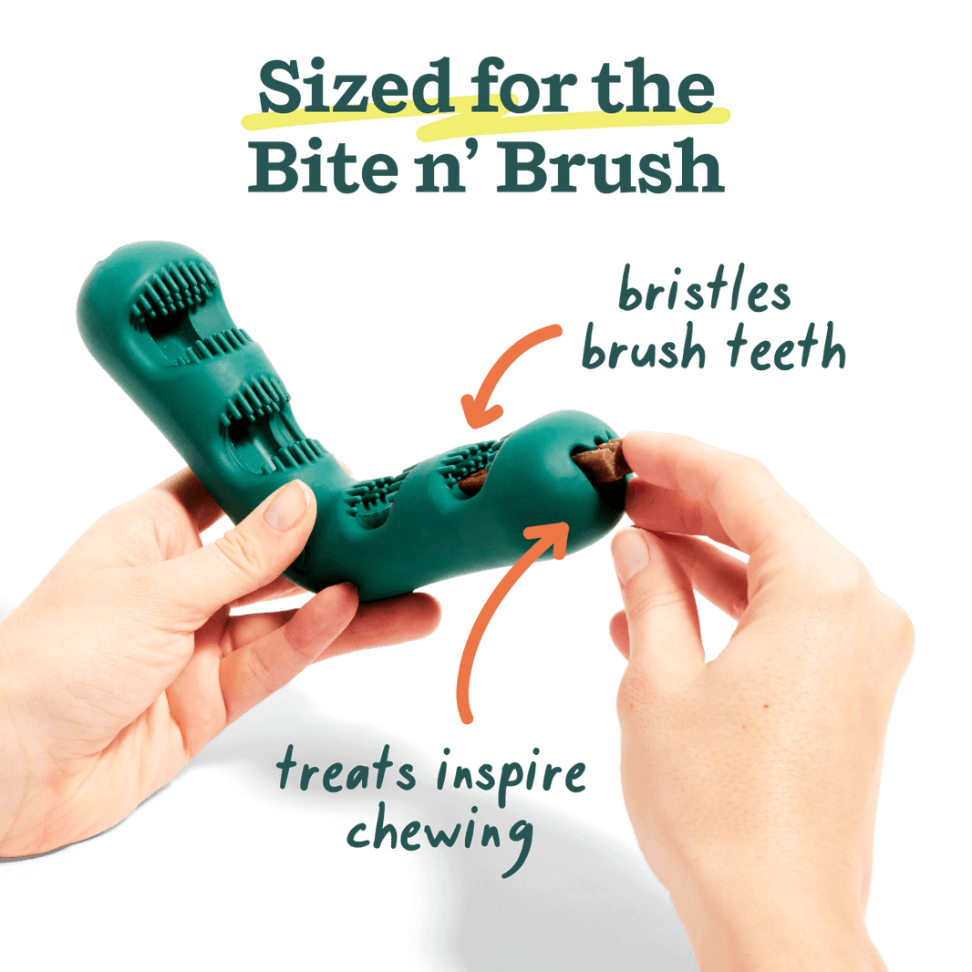 Woof Bite n' Brush Dental Refills, Beef Flavor