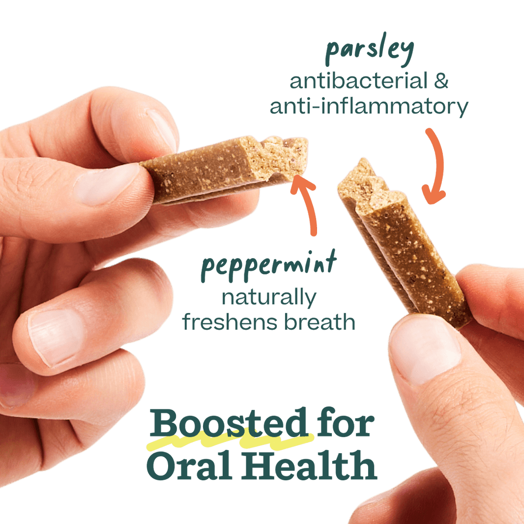 Woof Bite n' Brush Dental Refills, Beef Flavor