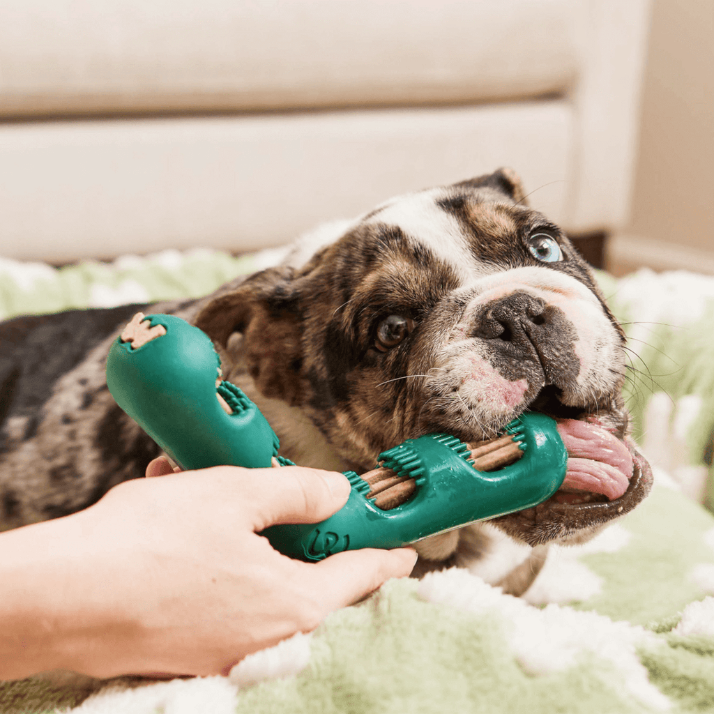 Woof Bite n' Brush Dental Refills, Beef Flavor