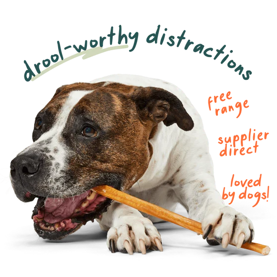 Woof BullySafe Refill Collagen Chew Bully Sticks 12" Dog Treat