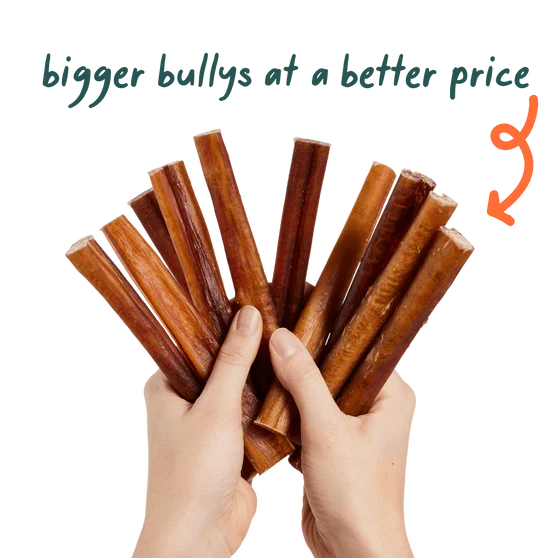 Woof BullySafe Refill Collagen Chew Bully Sticks 12" Dog Treat