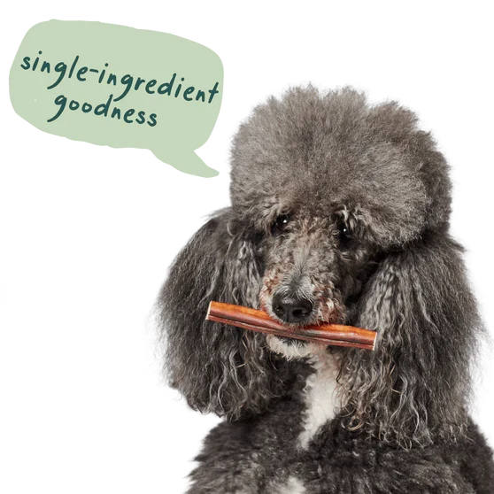 Woof BullySafe Refill Collagen Chew Bully Sticks 12" Dog Treat