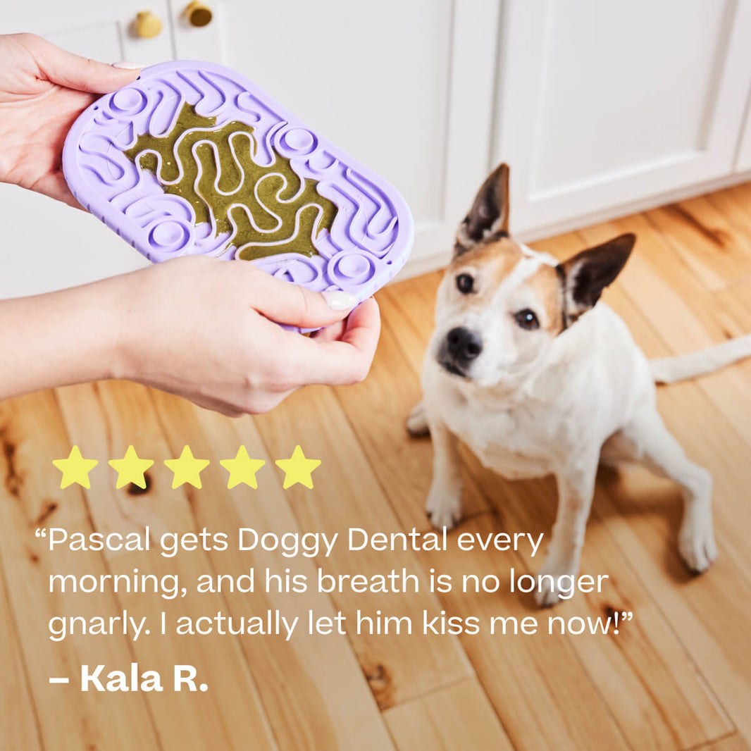 Woof Lickwells Doggy Dental Lickable Dog Treat Pouch