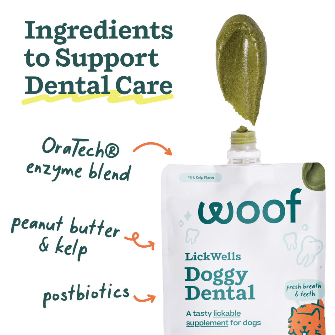 Woof Lickwells Doggy Dental Lickable Dog Treat Pouch