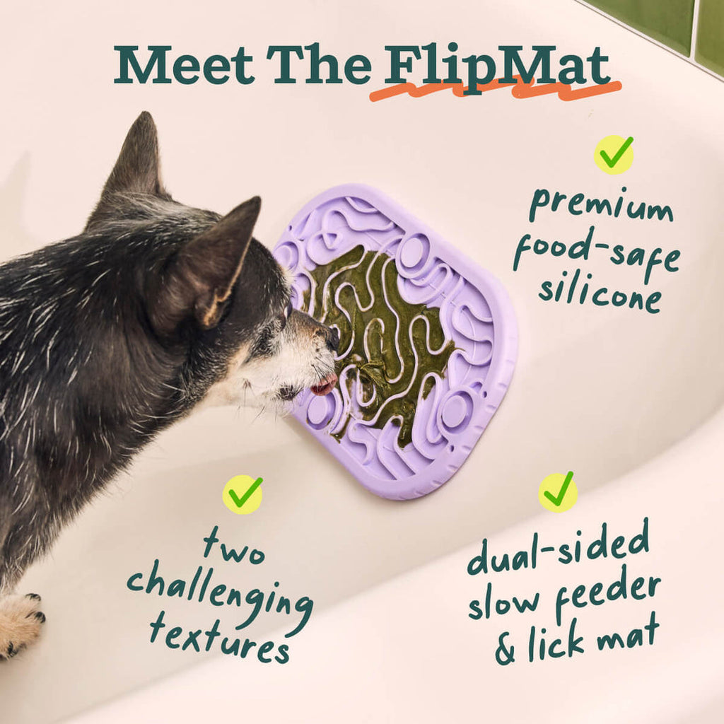 Woof Flipmat Dualsided Lickmat Mini