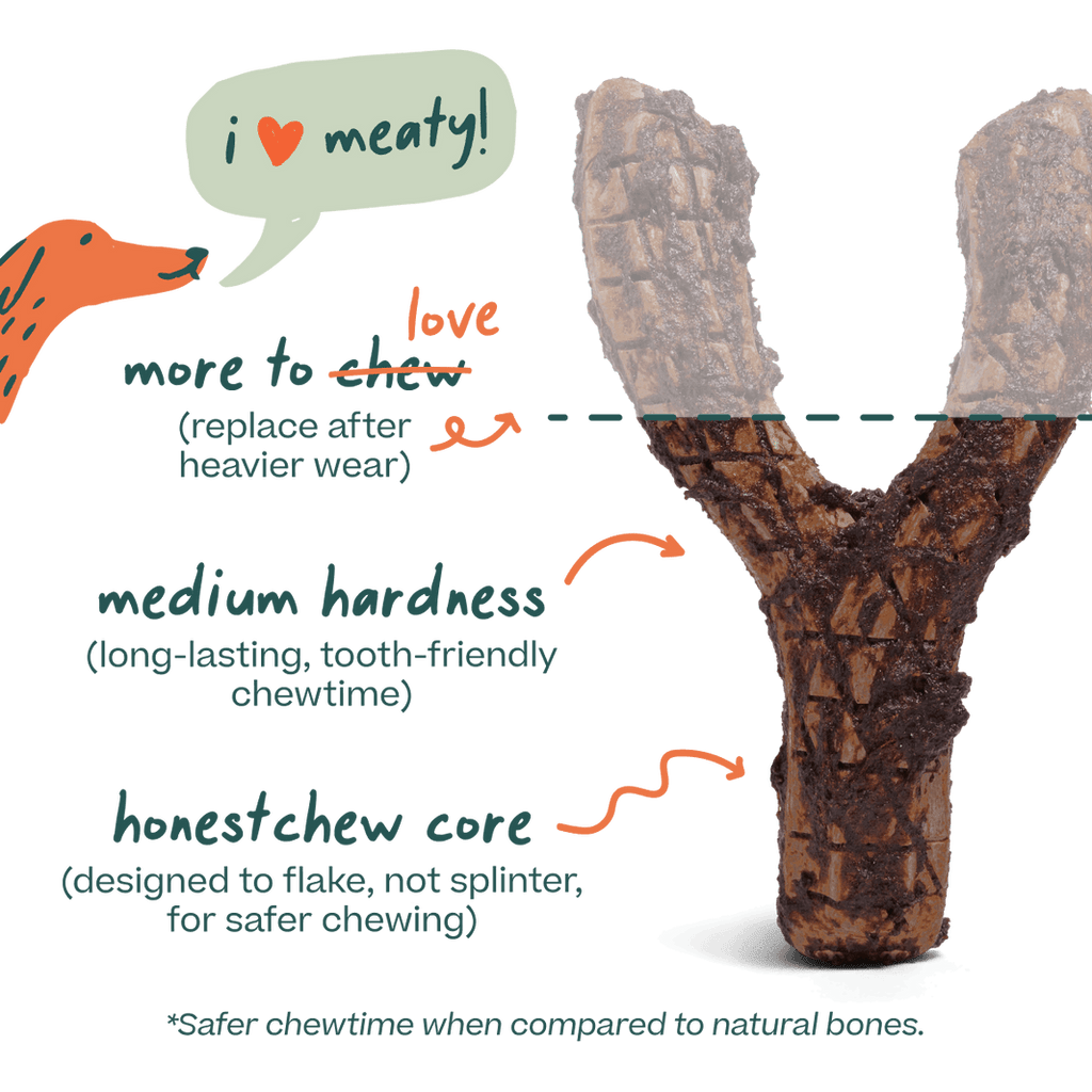 Woof HonestChew Meaty Y-Shaped Beef Flavored Dog Chew Toy