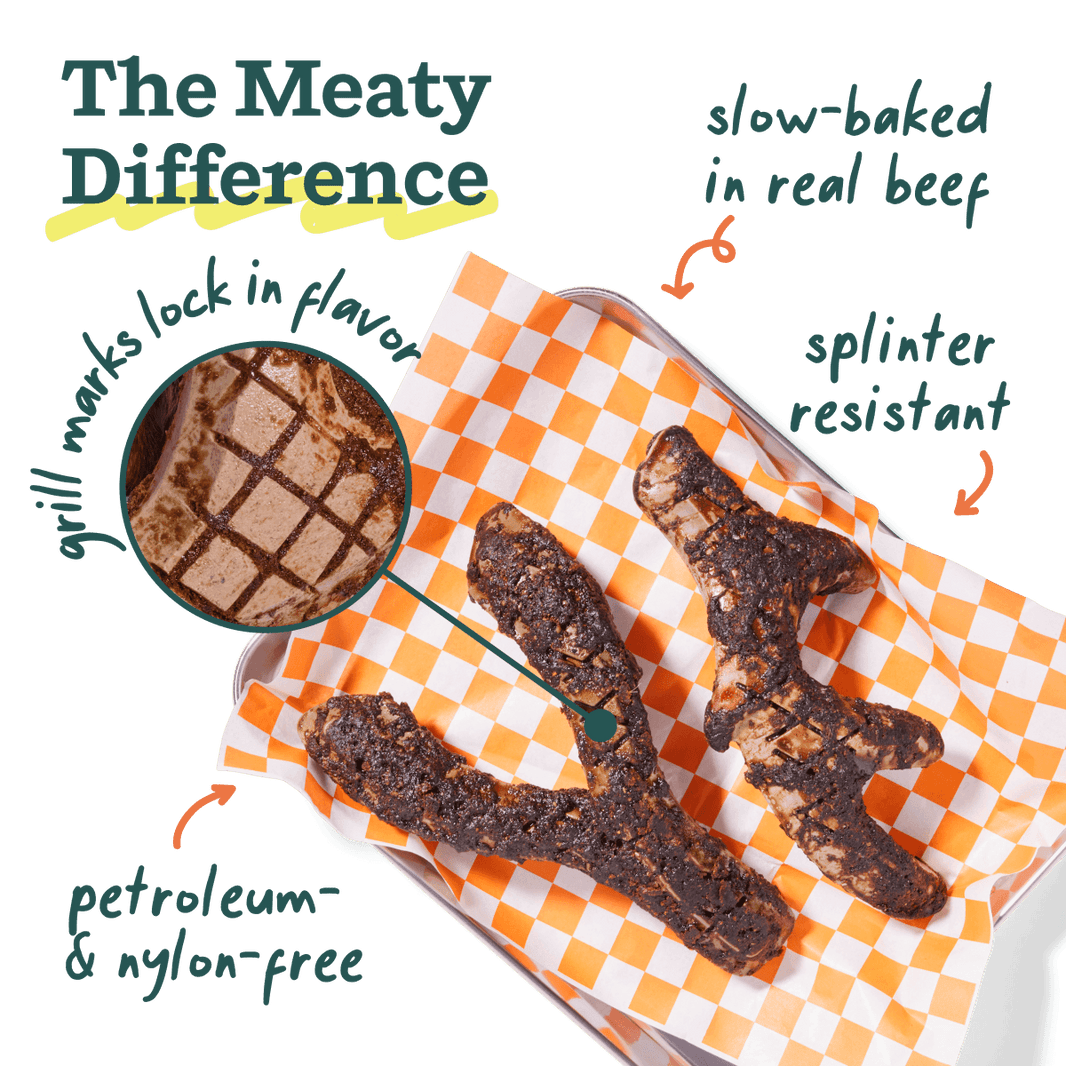 Woof HonestChew Meaty Y-Shaped Beef Flavored Dog Chew Toy