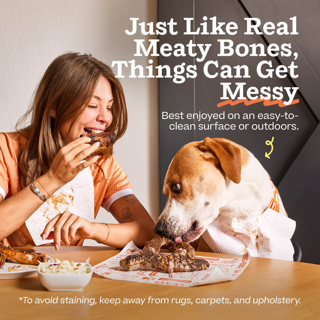 Woof HonestChew Meaty Y-Shaped Beef Flavored Dog Chew Toy