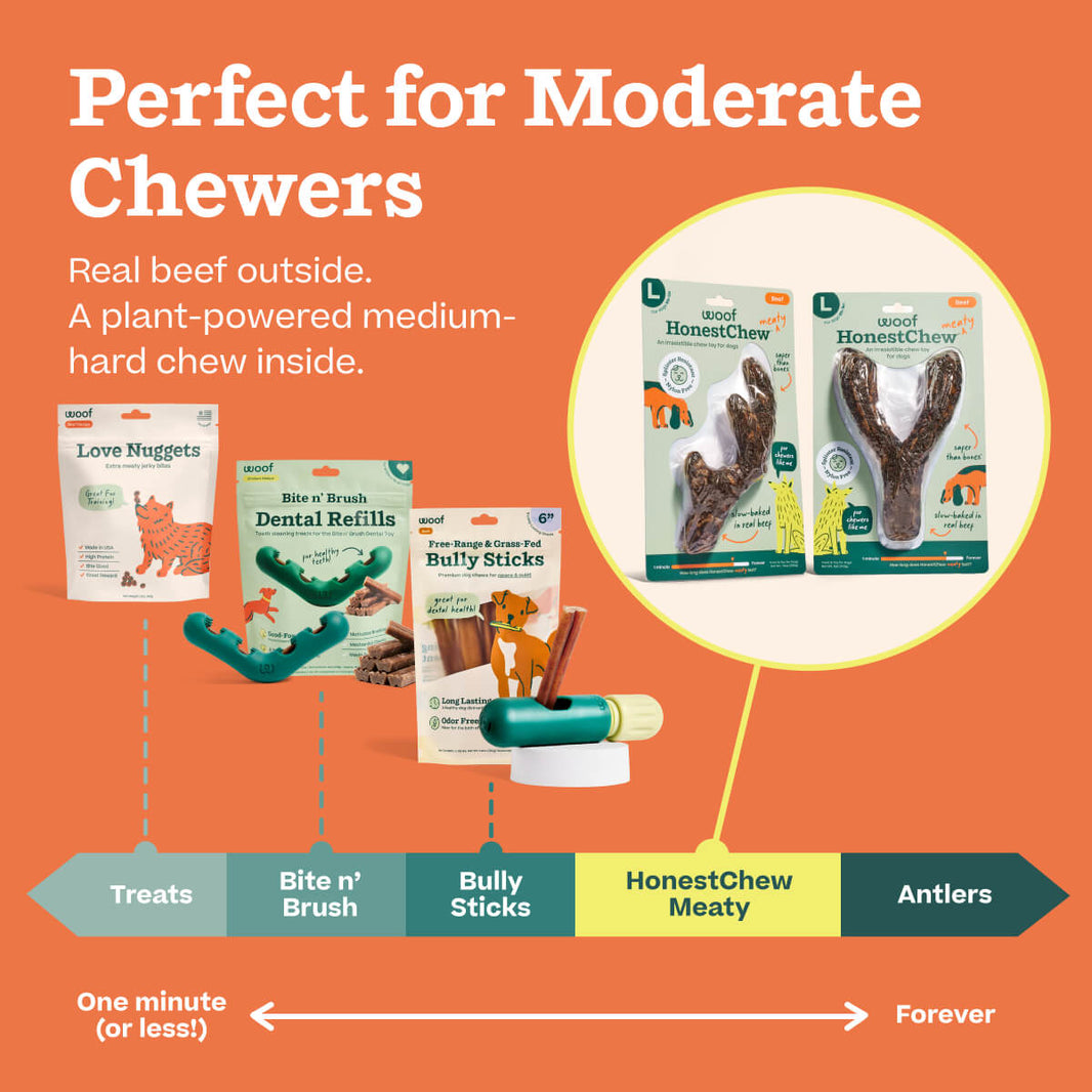 Woof HonestChew Meaty Y-Shaped Beef Flavored Dog Chew Toy