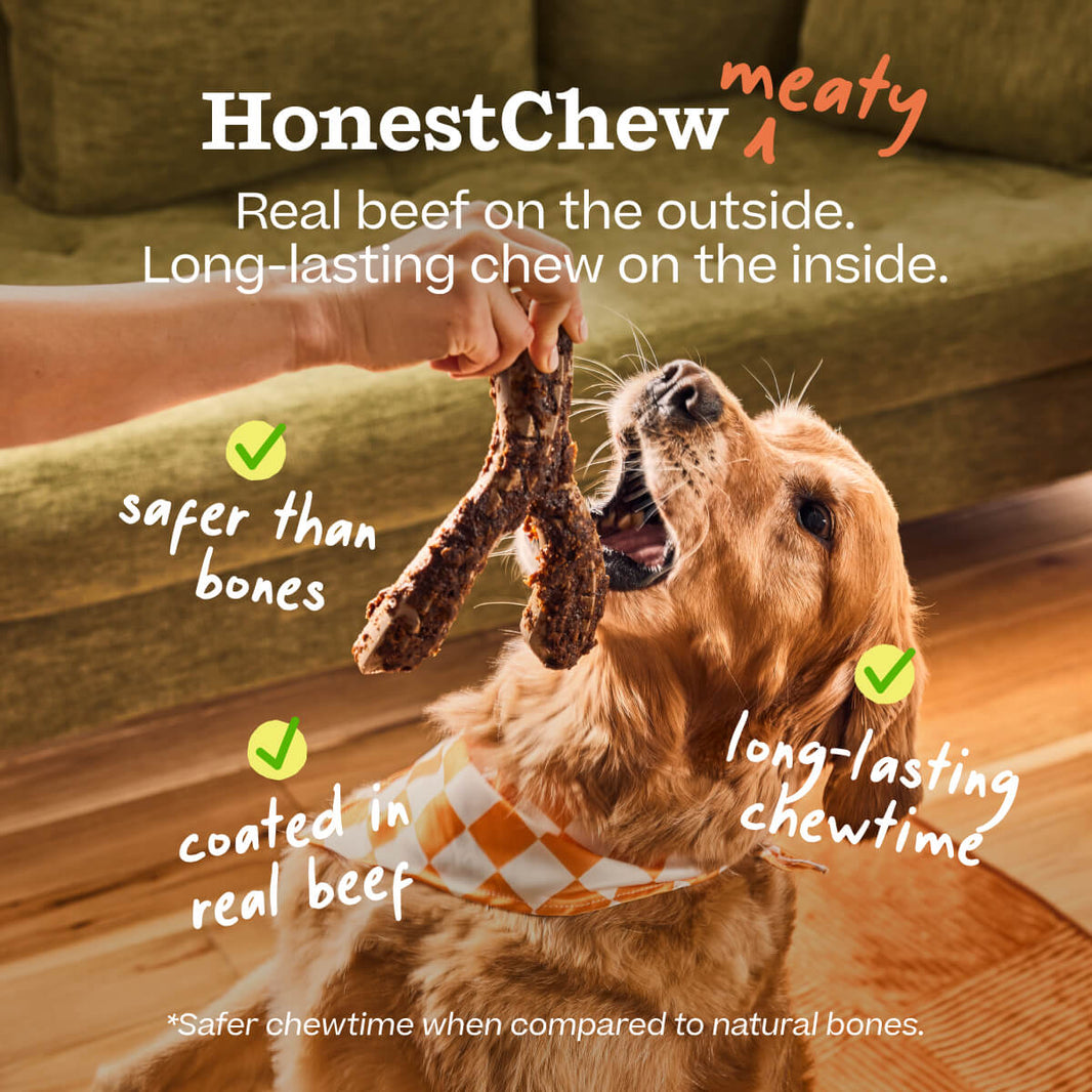 Woof HonestChew Meaty Y-Shaped Beef Flavored Dog Chew Toy