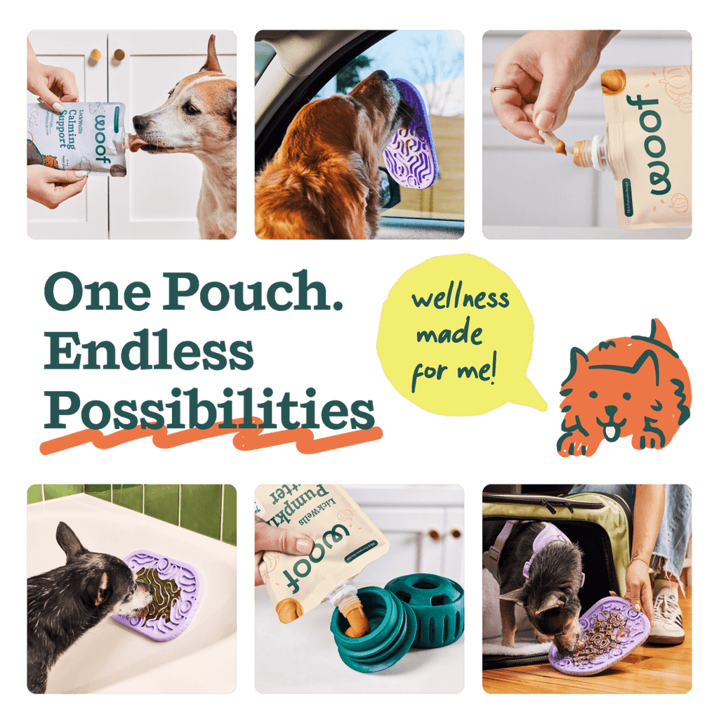 Woof Lickwells Pumpkin Butter Lickable Dog Treat Pouch