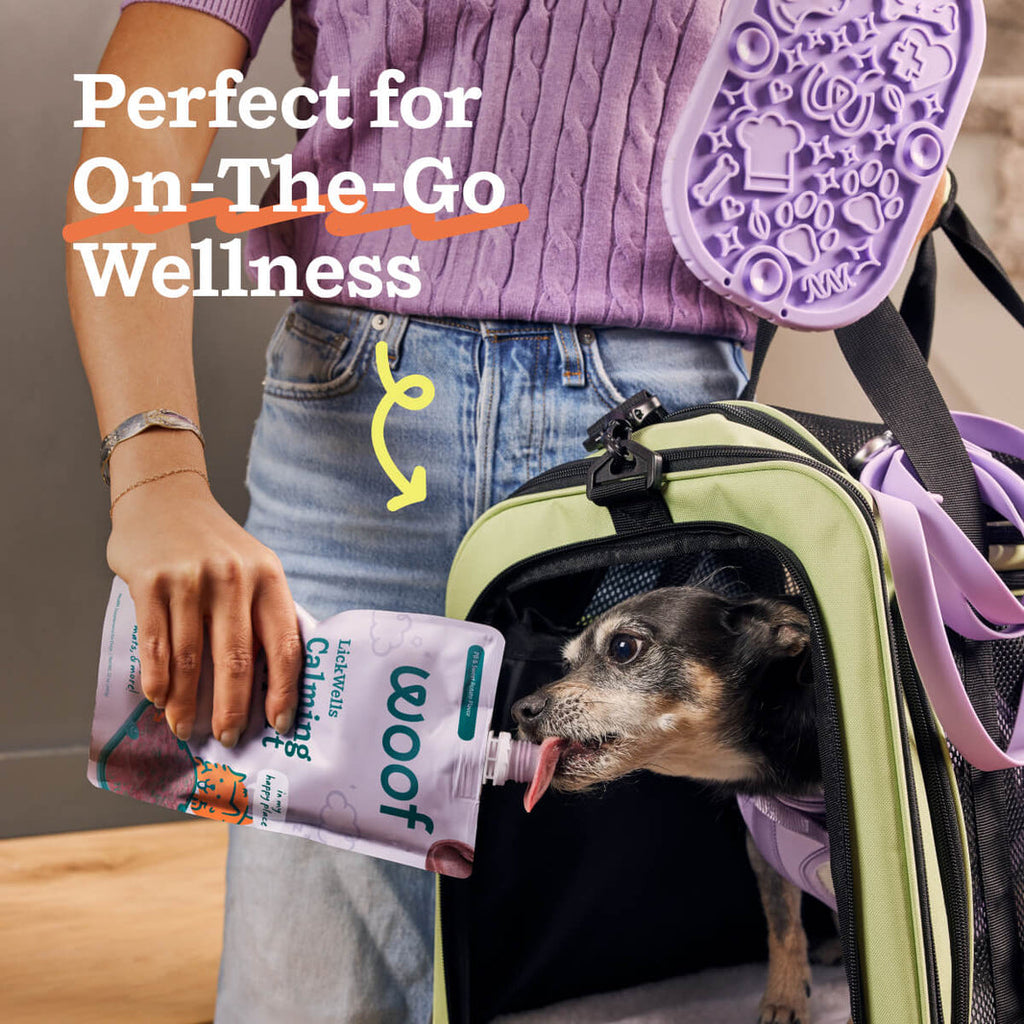 Woof Lickwells Pumpkin Butter Lickable Dog Treat Pouch