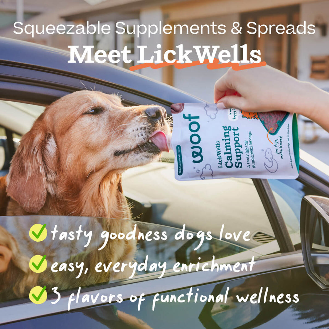 Woof Lickwells Pumpkin Butter Lickable Dog Treat Pouch