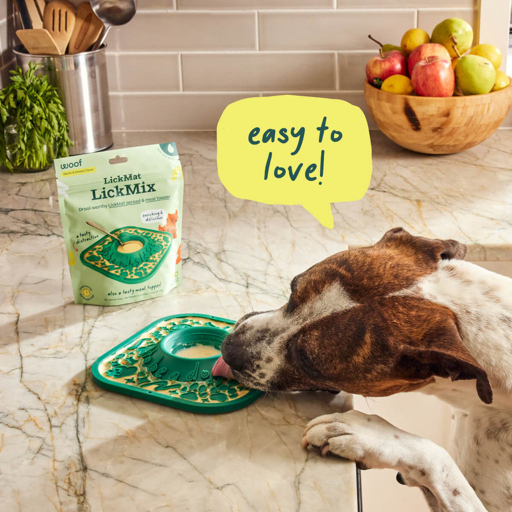 Woof Lickmat Slow Feeder