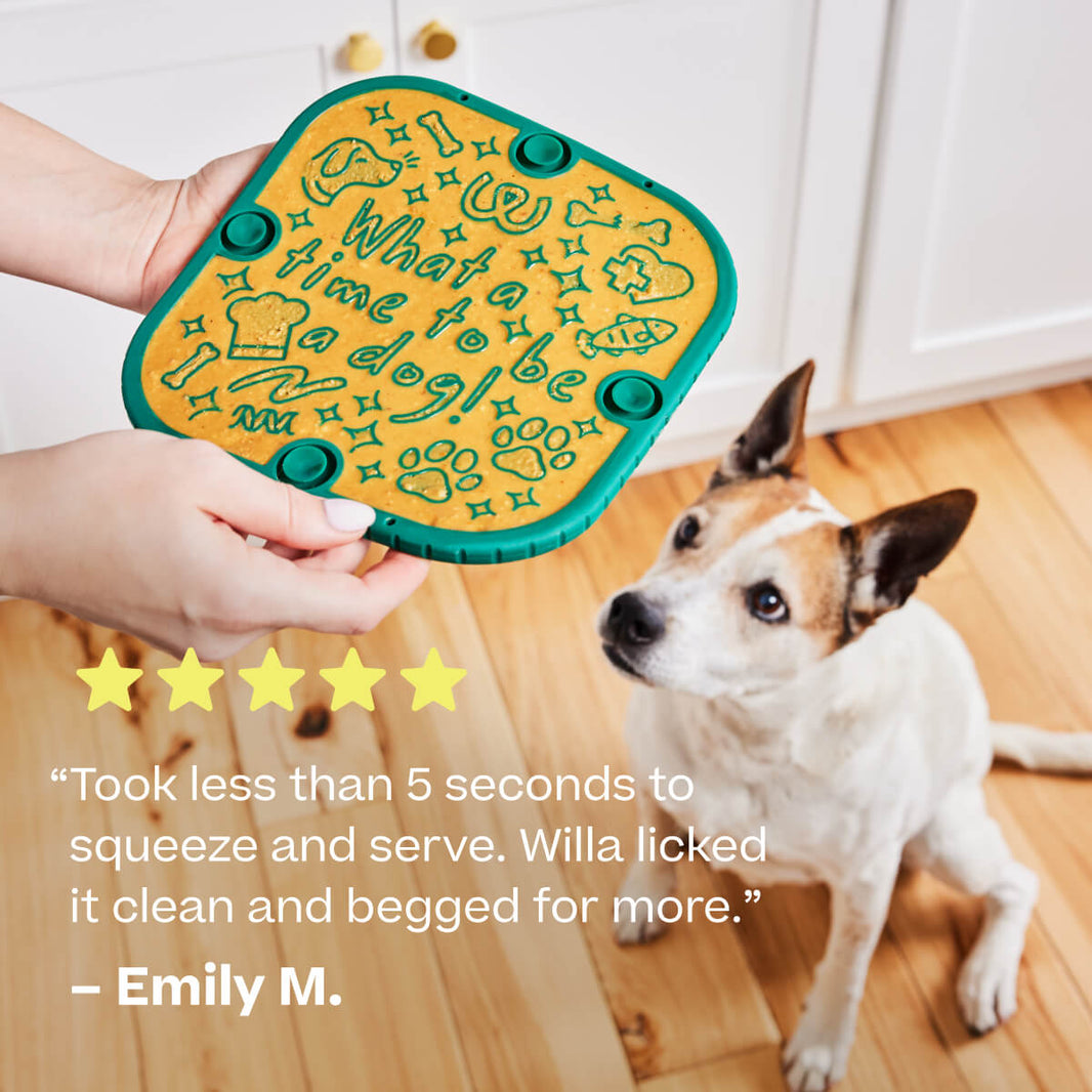 Woof Flipmat Dualsided Lickmat Mini