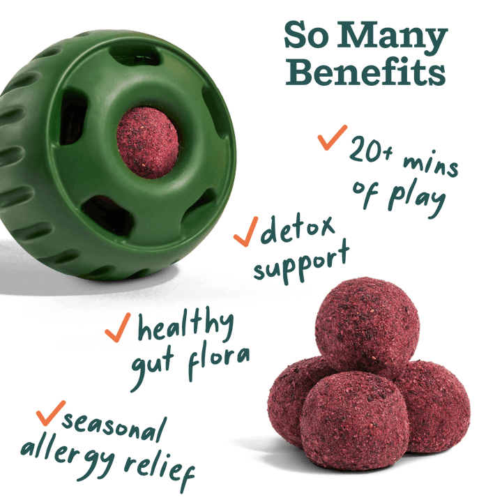 Woof Pupsicle Allergy and Immunity Pops Recipe Dog Treat