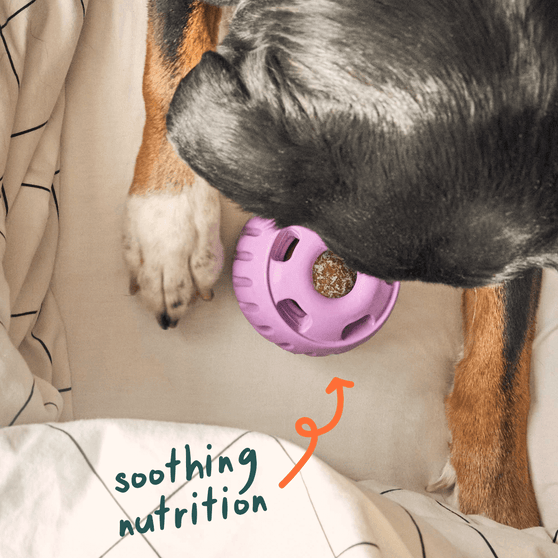 Woof Pupsicle Hip & joint Pops Recipe Dog Treat