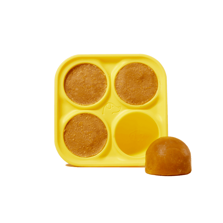Woof Pupsicle Silicone Treat Tray