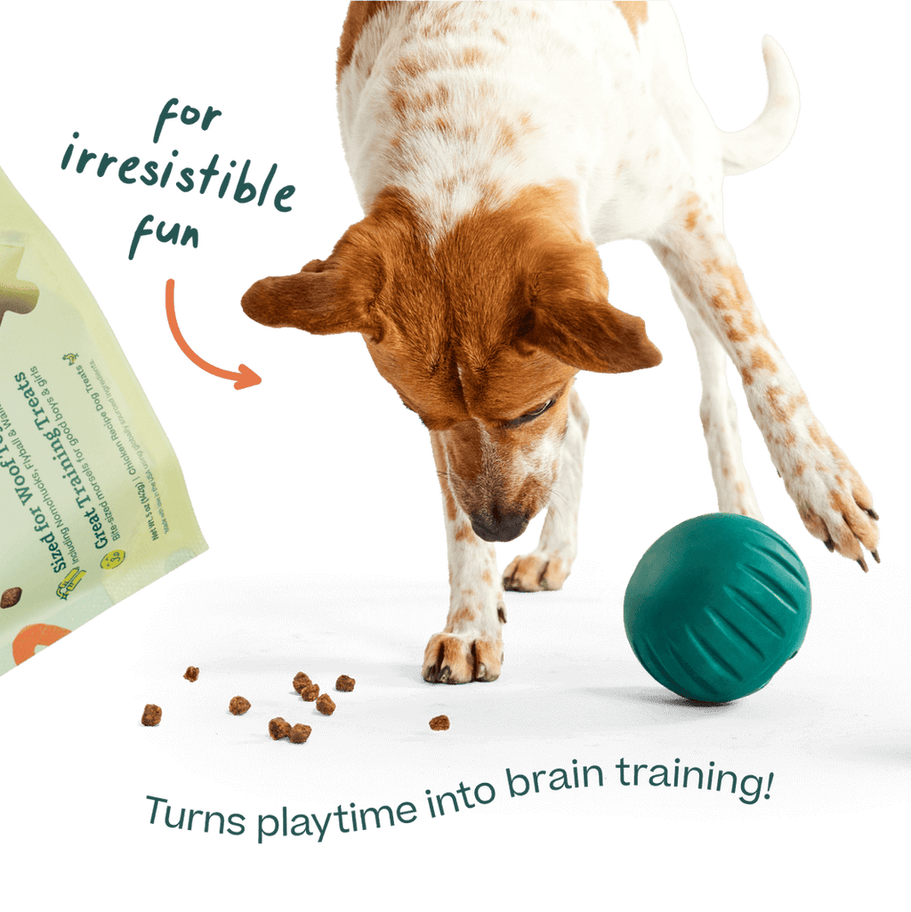 Woof Training and Puzzle Treat Refill Dog Treats