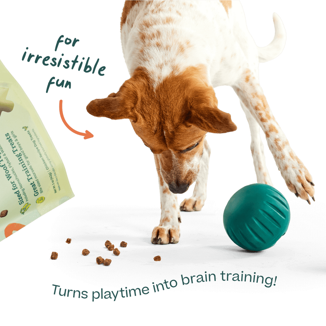 Woof Training and Puzzle Treat Refill Dog Treats
