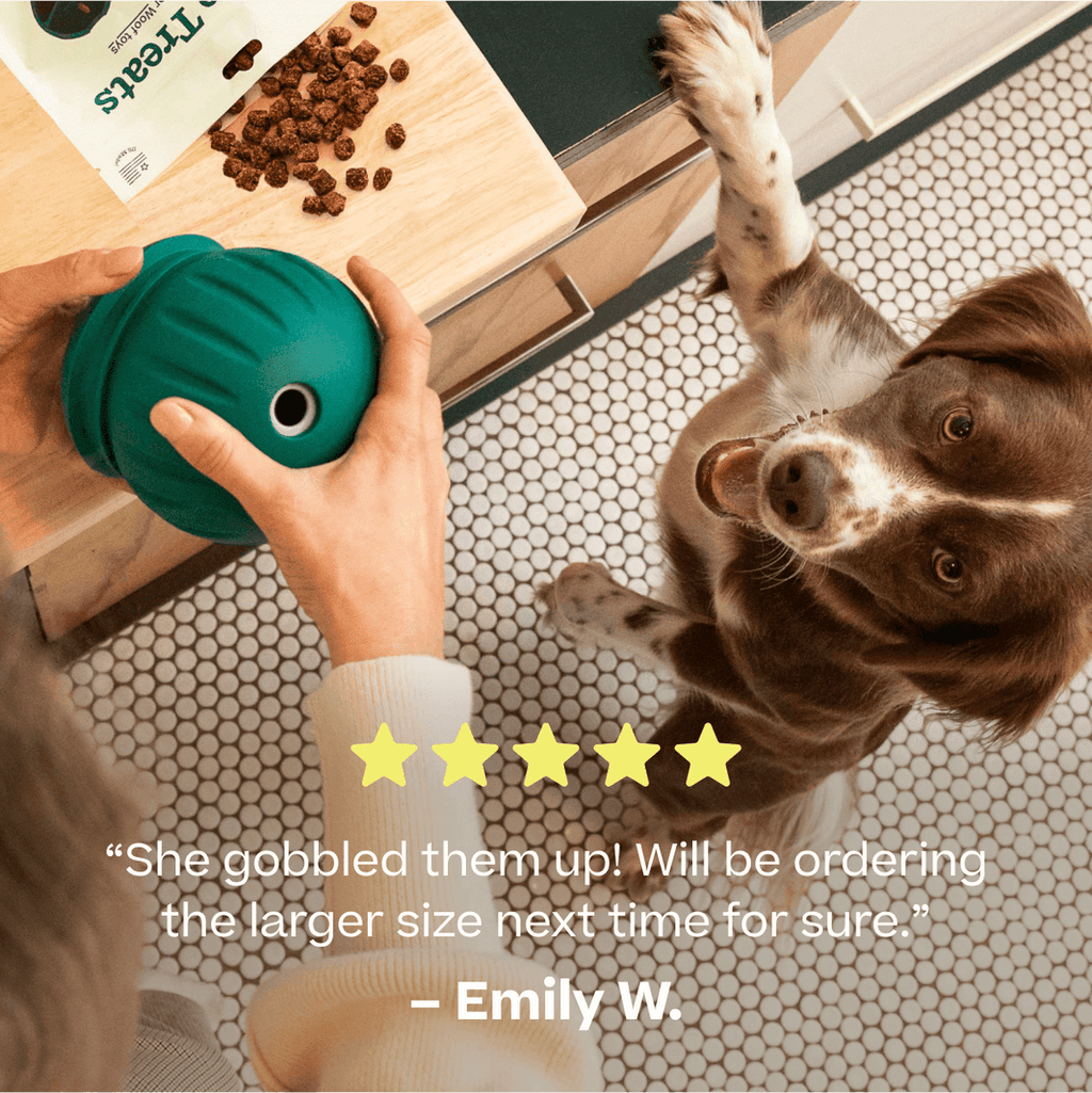 Woof Training and Puzzle Treat Refill Dog Treats