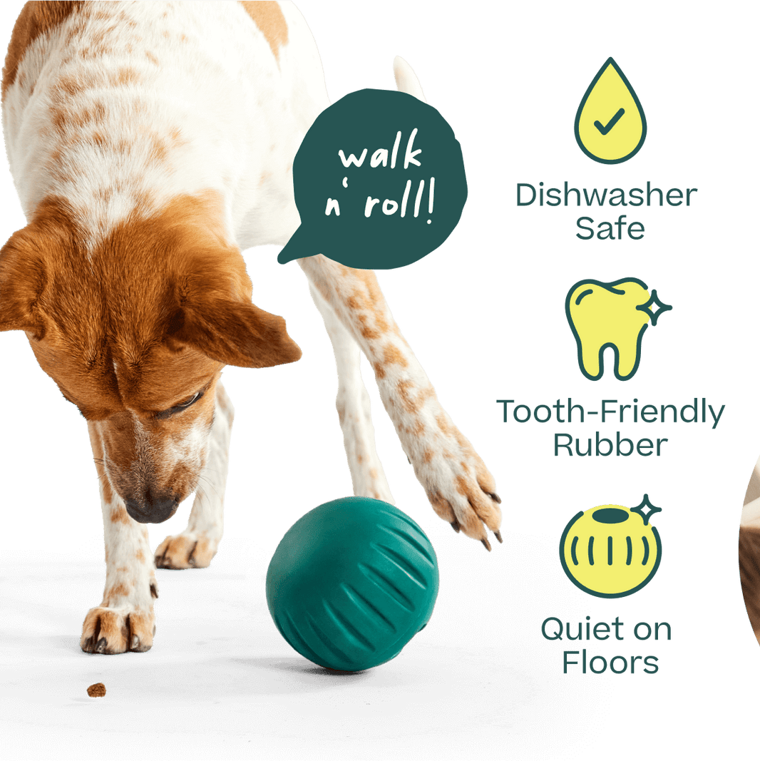 Woof Walkabout Treat Puzzle Ball and Slow Feeder Dog Bowl