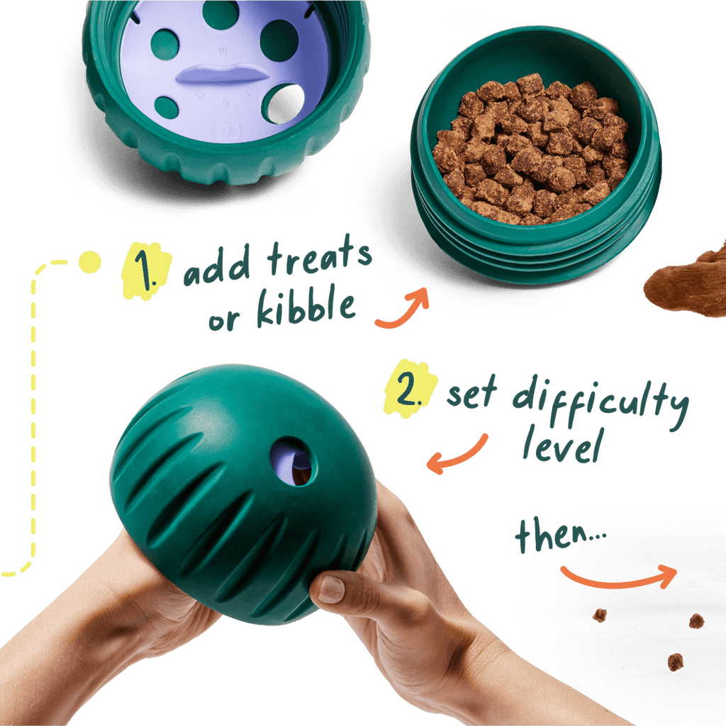 Woof Walkabout Treat Puzzle Ball and Slow Feeder Dog Bowl