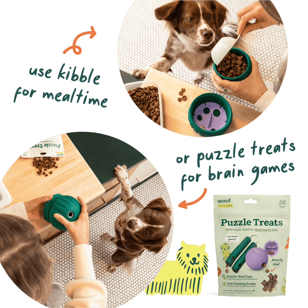 Woof Walkabout Treat Puzzle Ball and Slow Feeder Dog Bowl