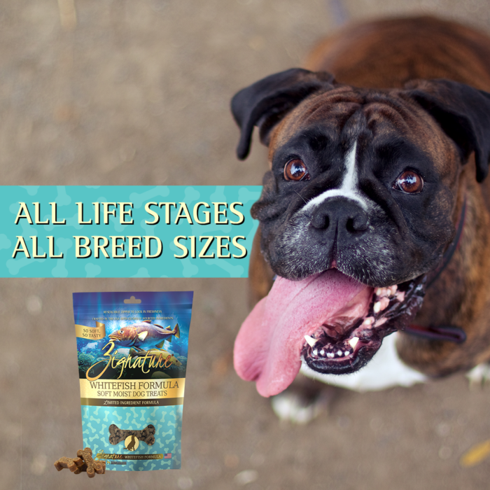 Zignature Grain Free Whitefish Formula Soft Moist Dog Treats