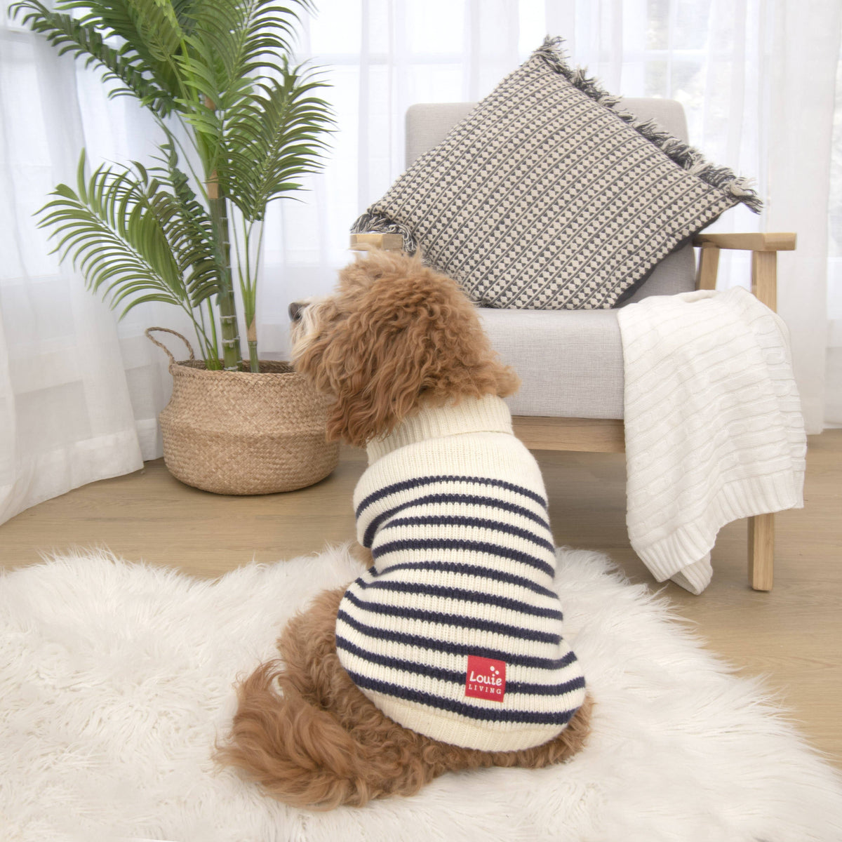 Louie Living Striped Navy & Blue Cardigan for Dogs