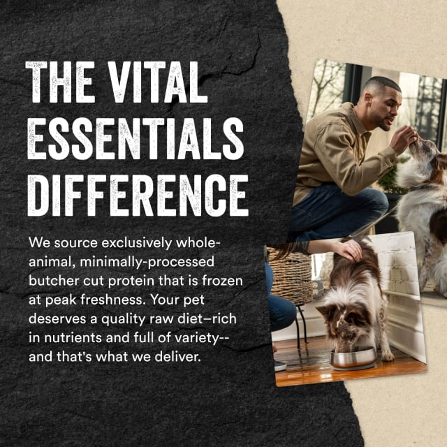 Vital Essentials Freeze-Dried Raw Turkey Entree Dog Food Mini Patties