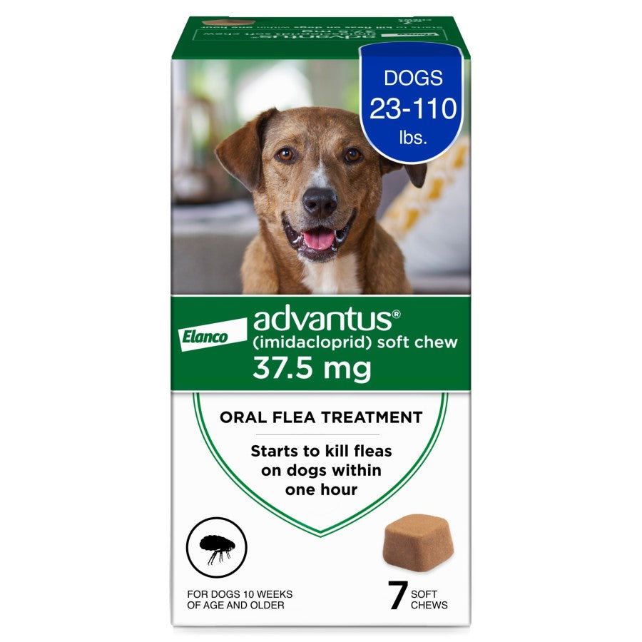 Advantus Chewable Flea Treatment for Large Dogs, 23lb-110lbs