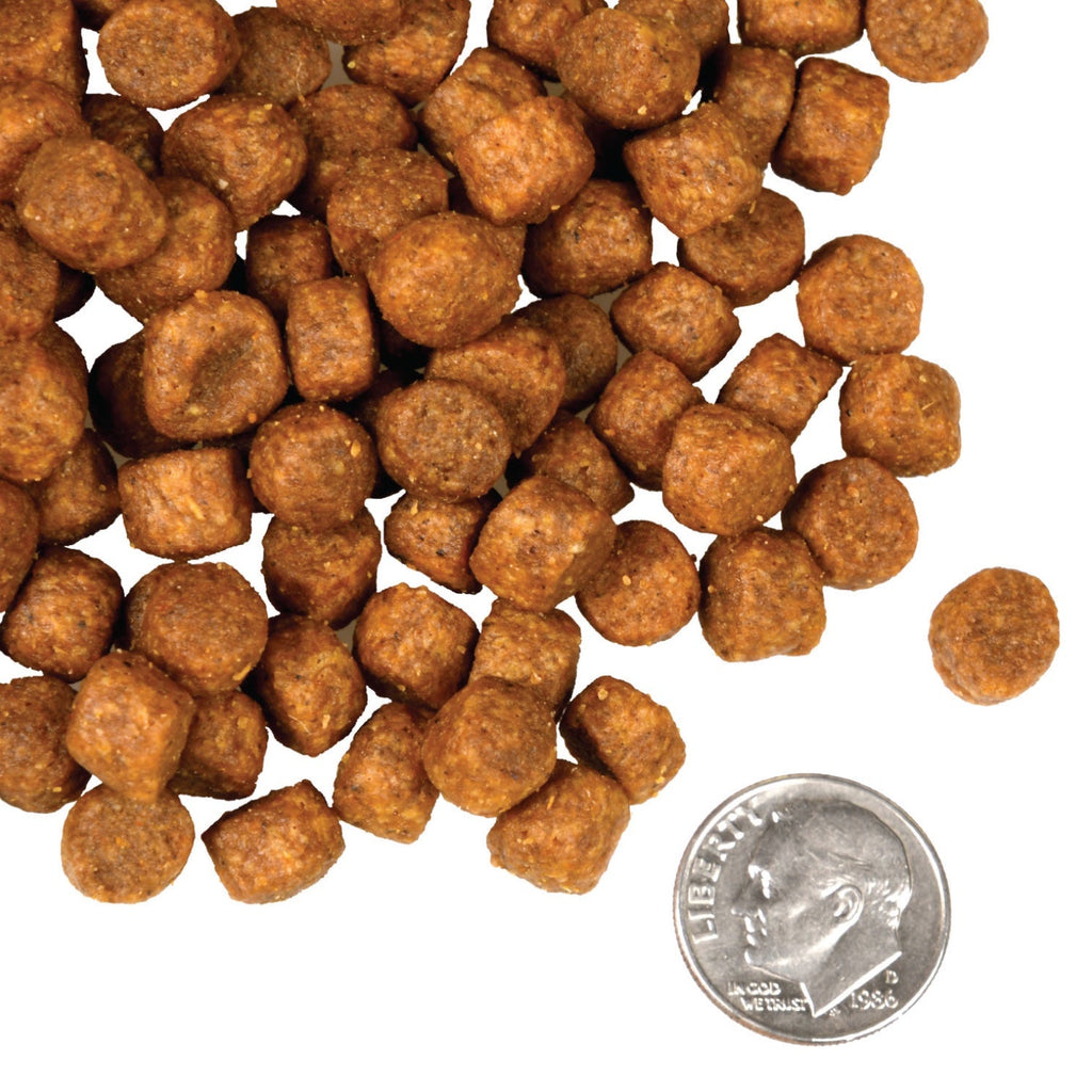 Fromm Four-Star Nutritionals Game Bird Recipe Dog Food