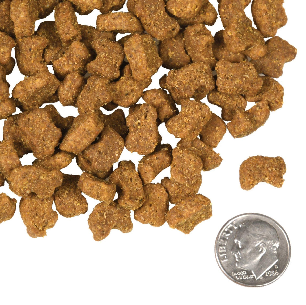 Fromm Four-Star Nutritionals Lamb & Lentil Recipe Dog Food
