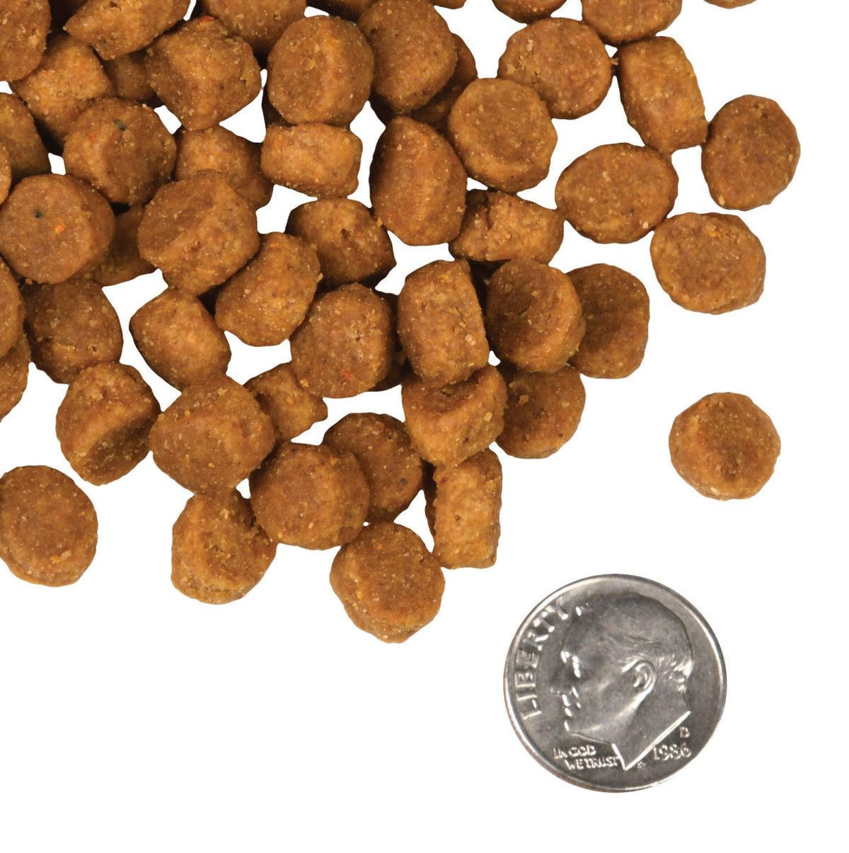 Fromm Four-Star Nutritionals Pork & Peas Recipe Dog Food