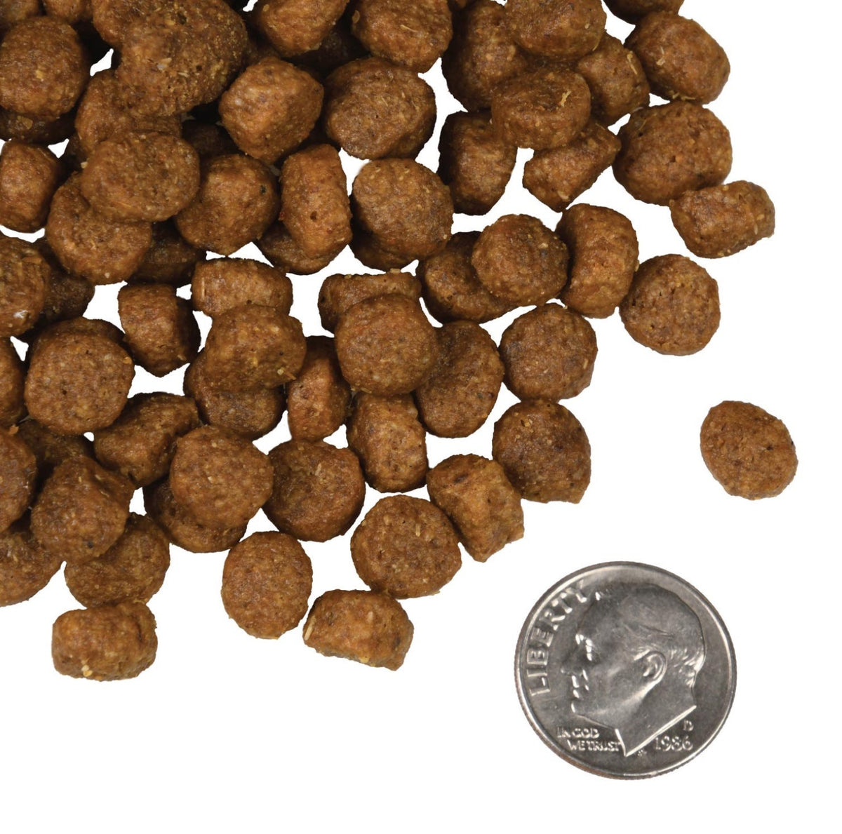 Fromm Four-Star Nutritionals Salmon Ã La Veg Food for Dogs