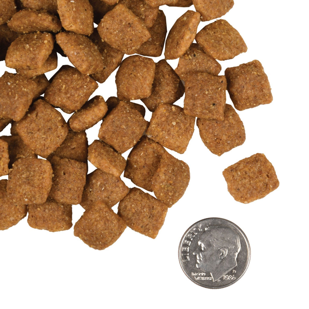 Fromm Gold Adult Food for Dogs