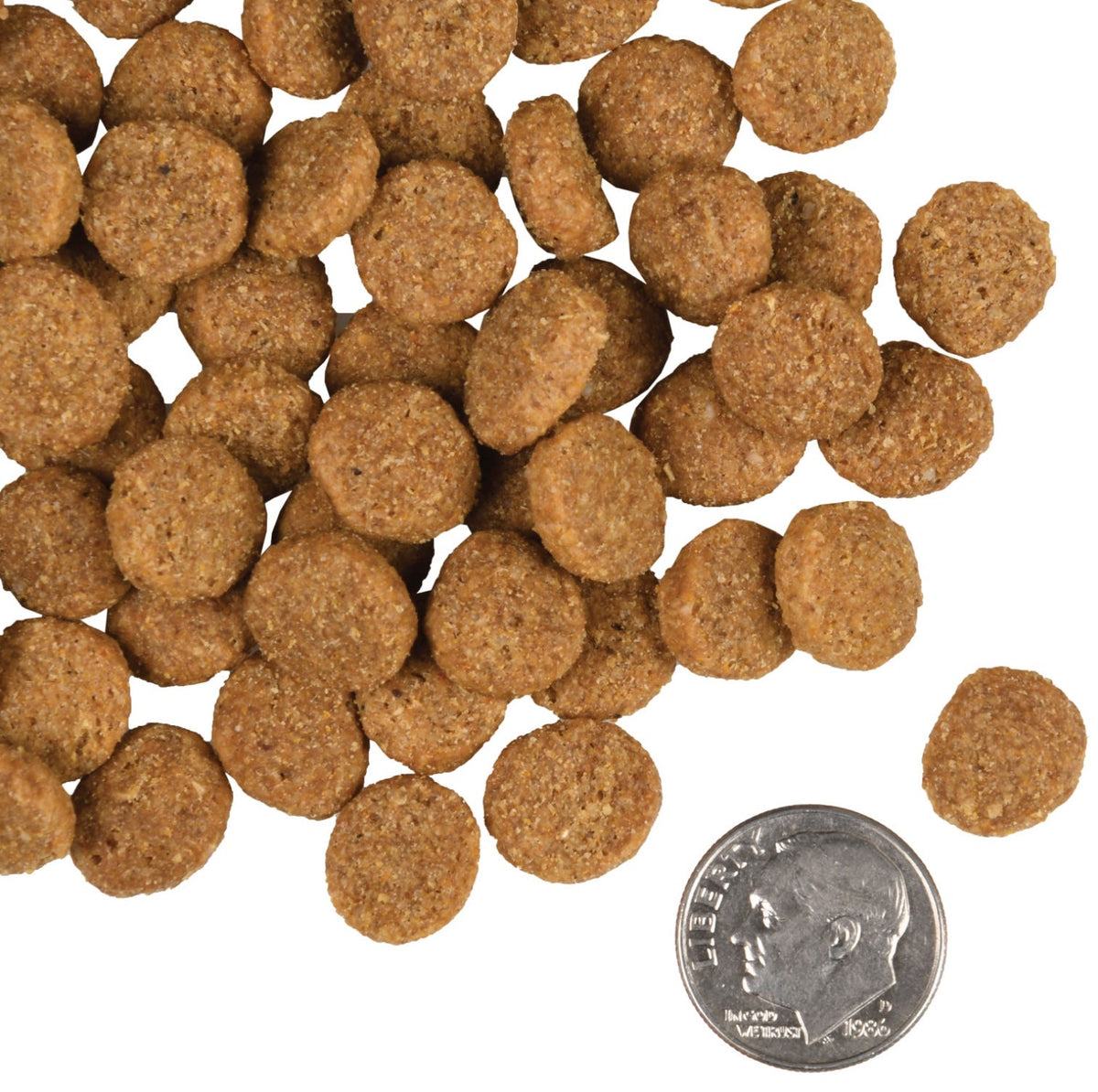 Fromm Large Breed Adult Gold Food for Dogs