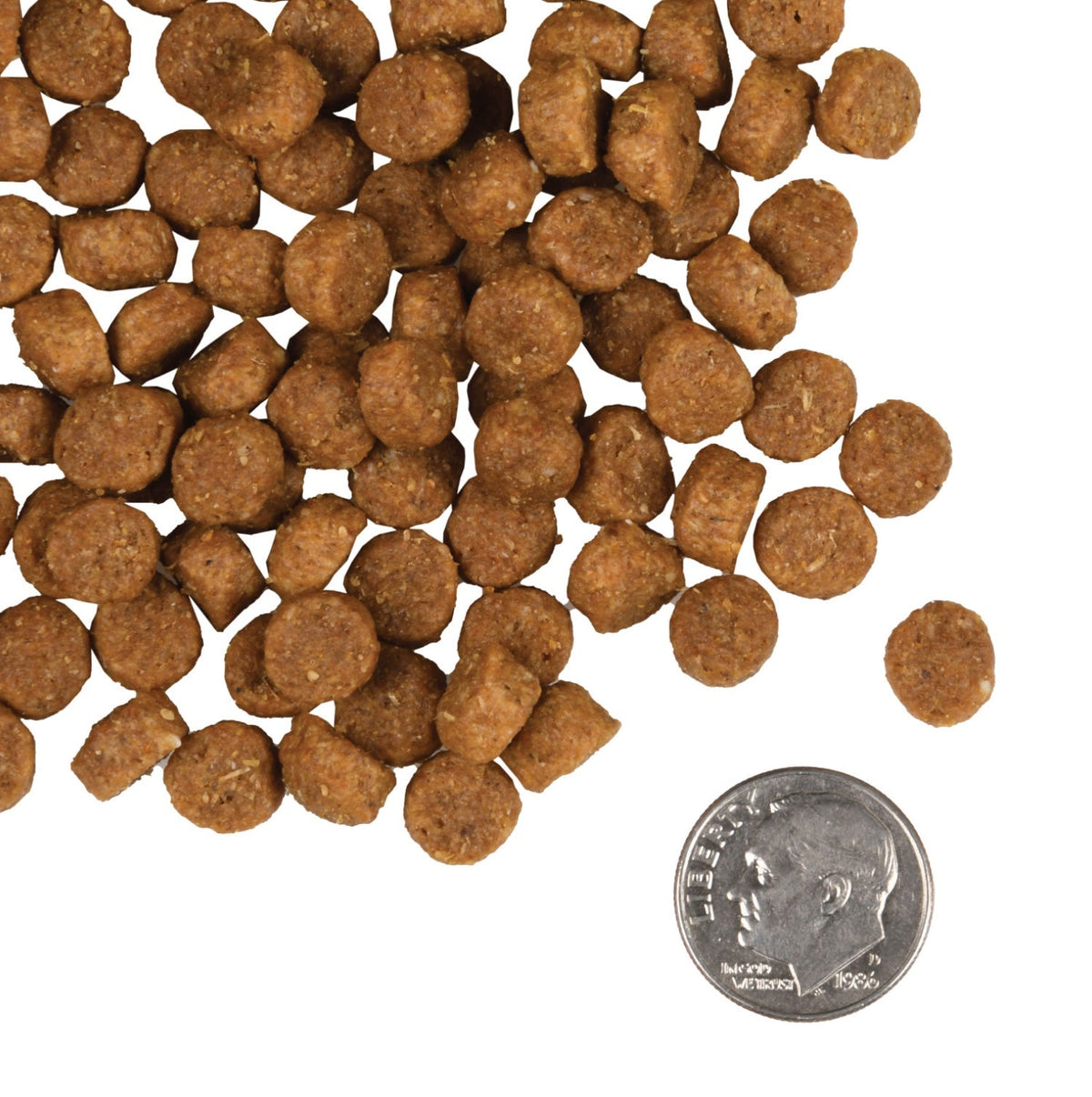 Fromm Puppy Gold Food for Dogs