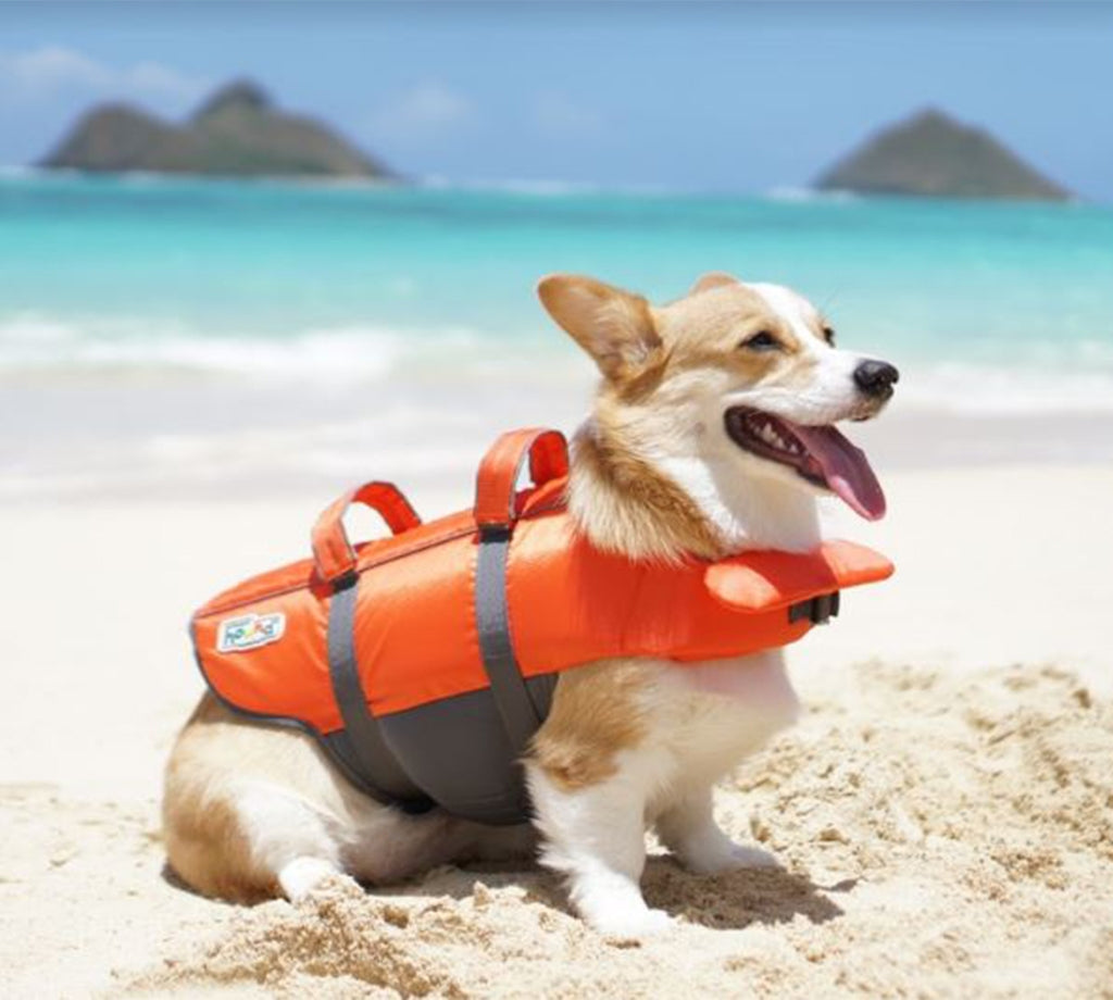 Outward Hound Ripstop Life Jacket for Dogs