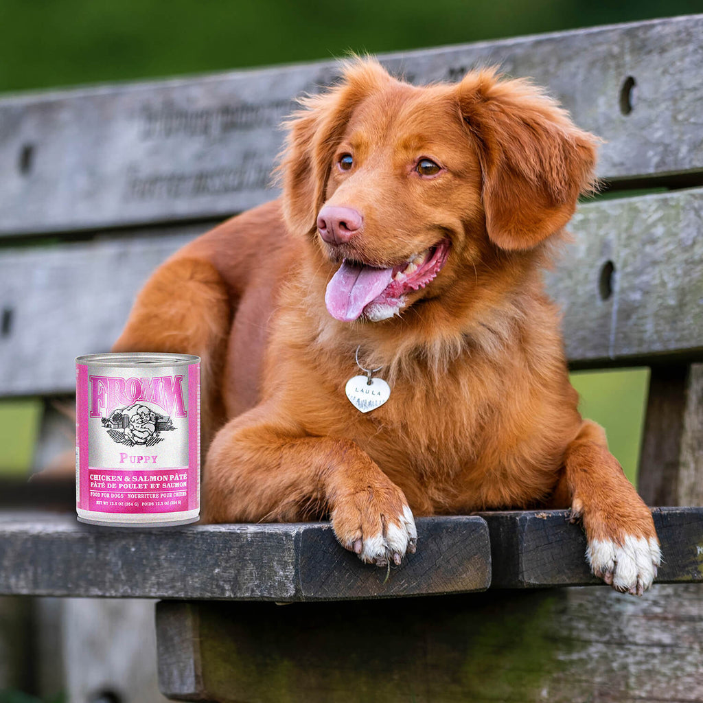Fromm Family Classic Puppy Chicken & Salmon Rice Pate Canned Puppy Food