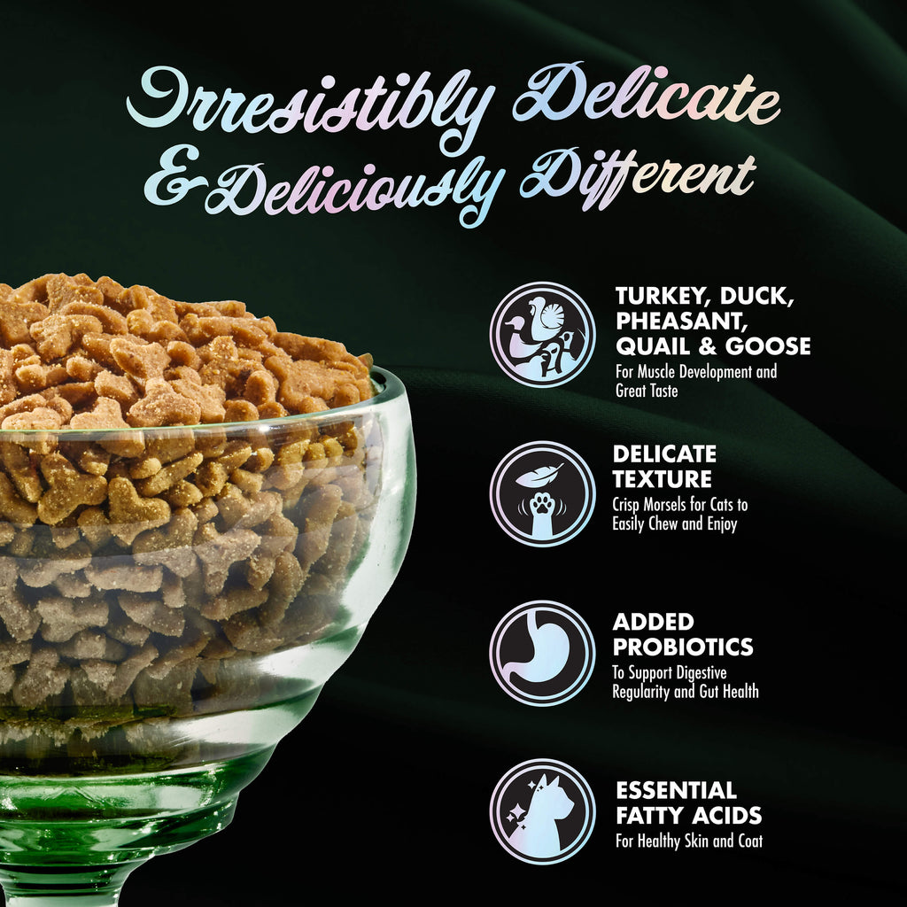 Fromm PurrSnickitty Salmon Splendor Dry Cat Food