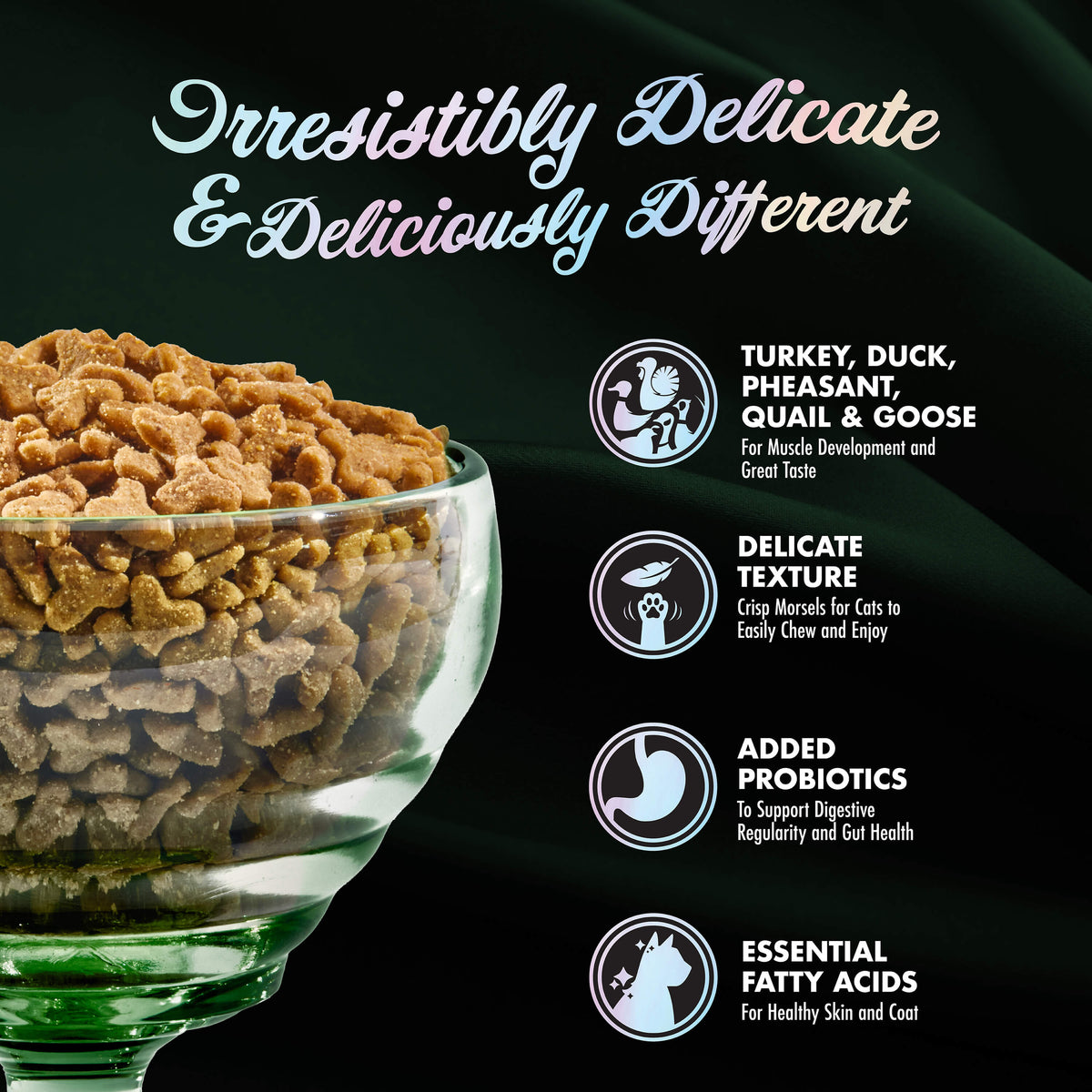 Fromm PurrSnickitty Salmon Splendor Dry Cat Food