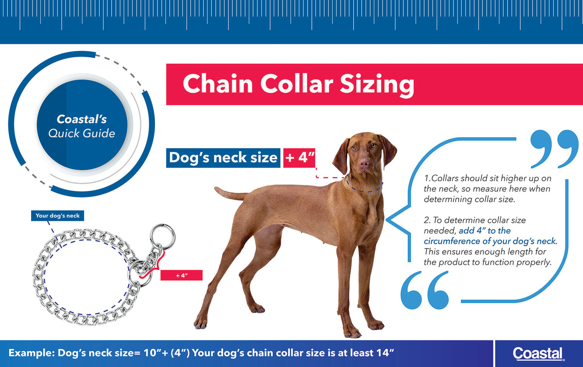 Coastal Titan Prong Training Dog Collar