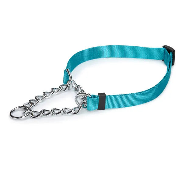 Bradshaw Animal Shelter Martingale Dog Training Collars