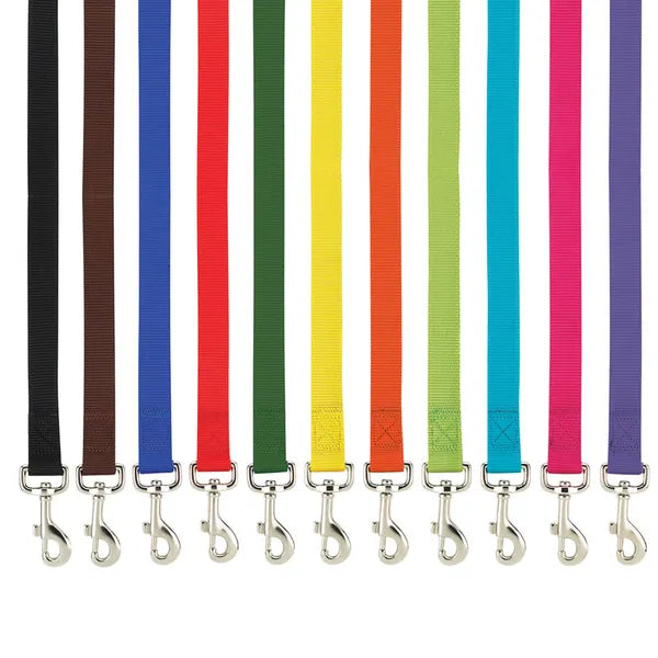 Casual Canine Classic Nylon Dog Leash, Yellow
